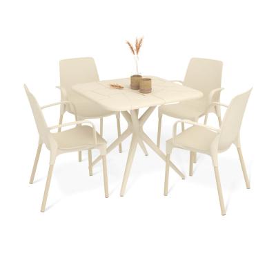 Обеденная группа SHT-DS202