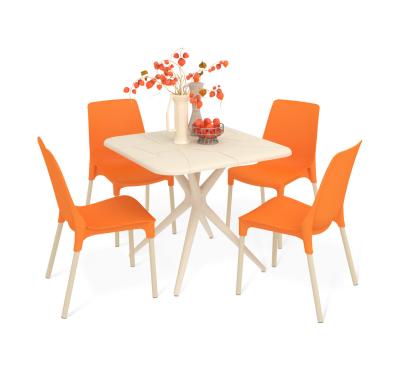 Обеденная группа SHT-DS204