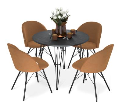 Обеденная группа SHT-DS251