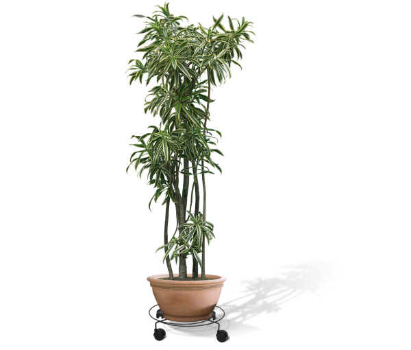 Подцветочница Пальмина 3