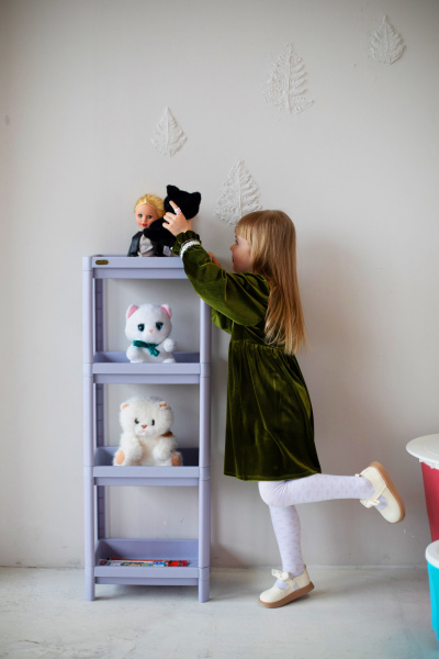 Стеллаж SHT-SS25-4