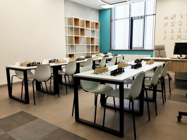 Каркас стула SHT-S130 HD