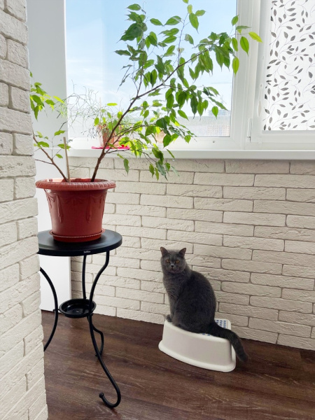 Столик журнальный SHT-CT10-1