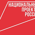 Национальные проекты