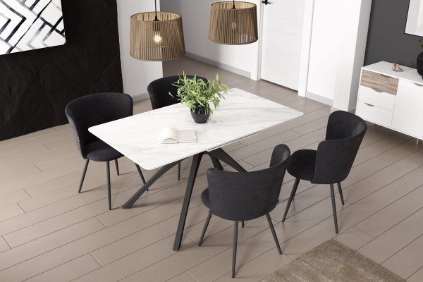 Обеденная группа SHT-DS295