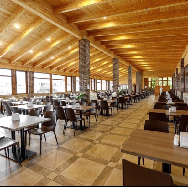 Каркас стула SHT-S424-С