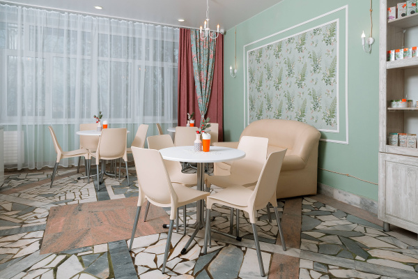 Каркас стула SHT-S424-С