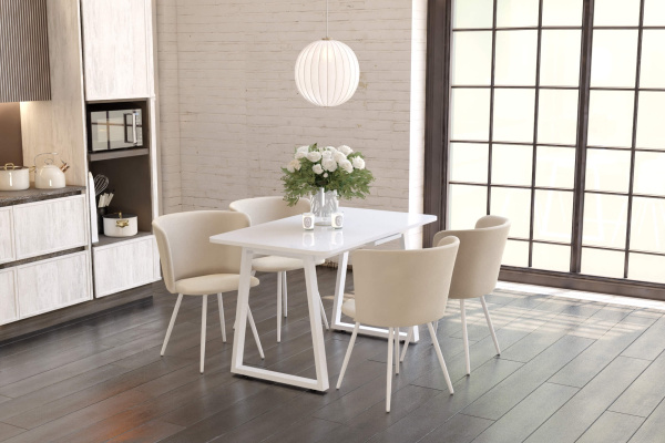 Обеденная группа SHT-DS233