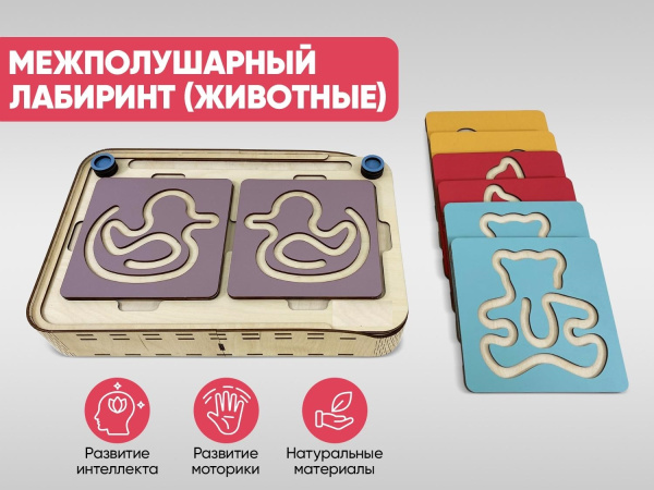 Межполушарный лабиринт (животные)