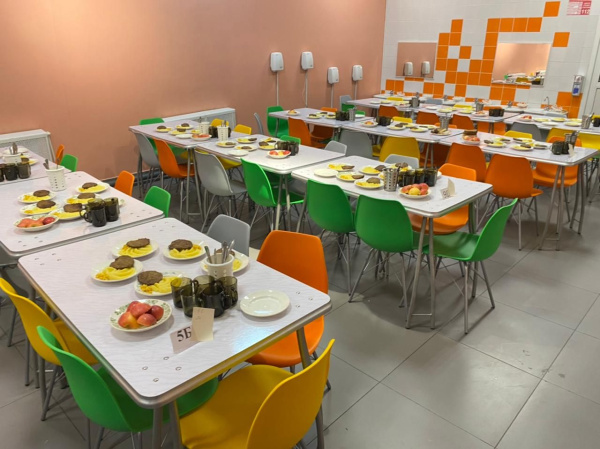 Стул SHT-ST29/S64