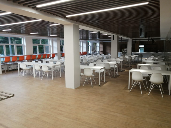 Каркас стула SHT-S37